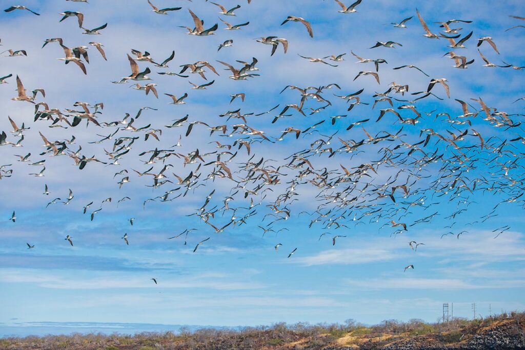 Experiencia sensorial en galápagos - islas únicas