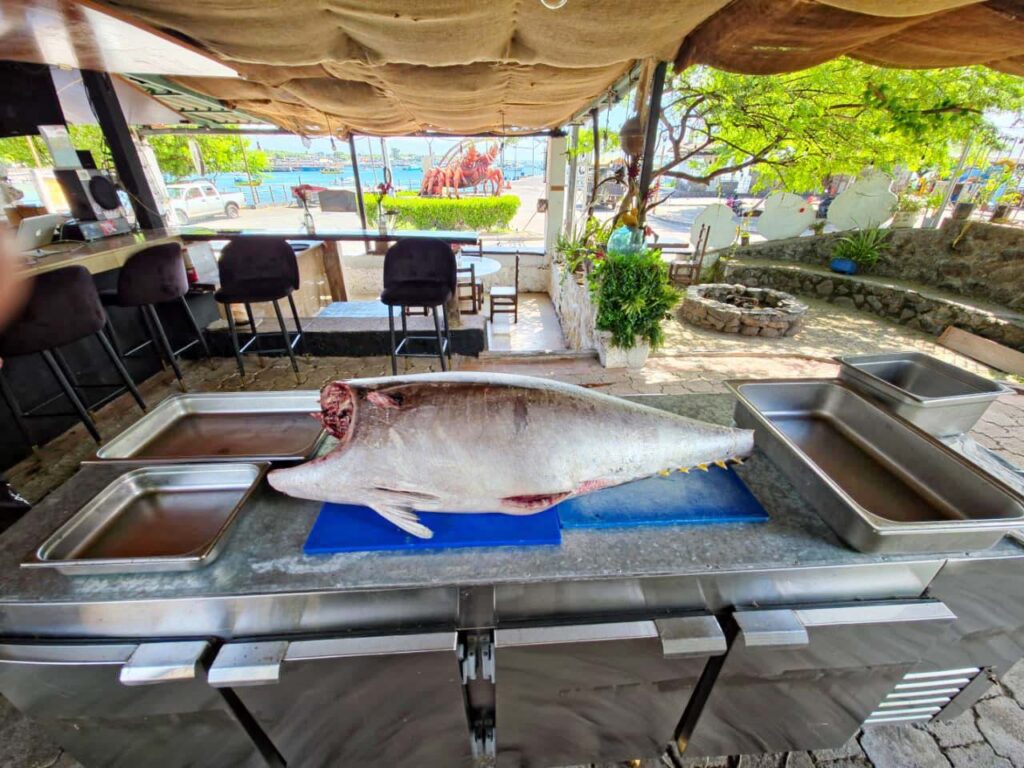 Intigarden Mansergala Alimentación saludable en Galápagos