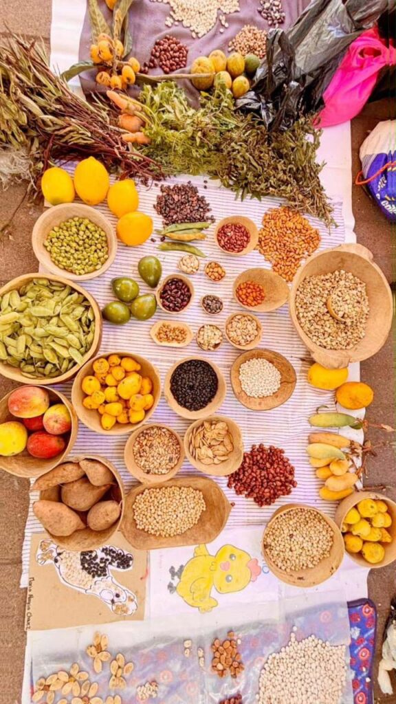 Intigarden Mansergala Alimentación saludable en Galápagos