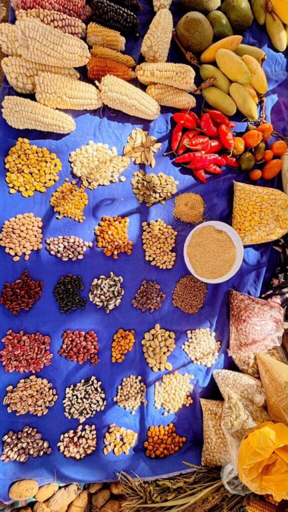 Intigarden Mansergala Alimentación saludable en Galápagos