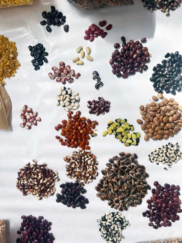 Intigarden Mansergala Alimentación saludable en Galápagos